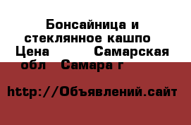 Бонсайница и стеклянное кашпо › Цена ­ 150 - Самарская обл., Самара г.  »    
